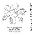 One of the first flowering plant on Earth - Magnolia, evolved during the Cretaceous period. Black and white line art, perfect for coloring and educational purposes.
