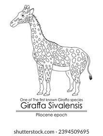 One of The first known Giraffa species Giraffa Sivalensis from Pliocene epoch. Black and white line art, perfect for coloring and educational purposes.
