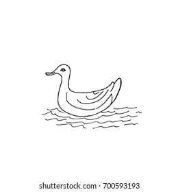One floating duck big draw by hand.