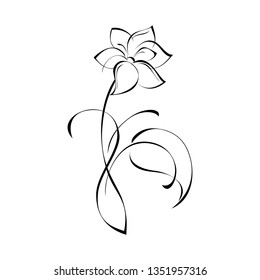 one flower with large petals on the stem with a leaf and curls of black lines on a white background