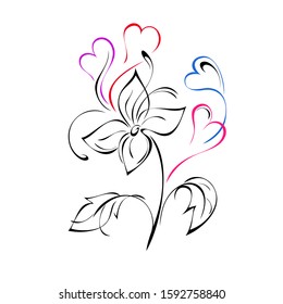 one flower on a short stem with leaves and stylized hearts in colored lines on a white background