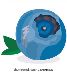 One fresh blueberry with leaves 