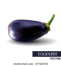 One fresh eggplant over white background