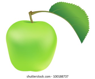 One fresh green apple with green leaf on white background. EPS-10 vector illustration. Contains gradient mesh and transparency.