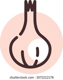 One garlic, illustration, vector, on a white background.