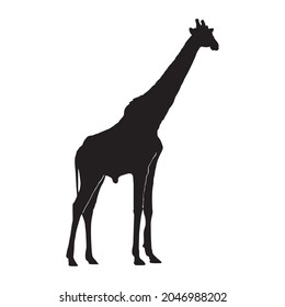 One giraffe black silhouette icon vector. Giraffe icon isolated on a white background. Giraffe icon vector. Animal of the African continen