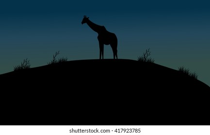 One giraffe silhouette in hills at the night