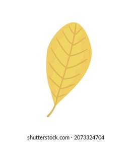 One gold autumn leaf. Vector flat icon illustration.