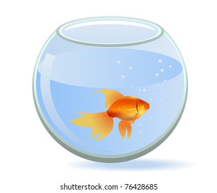 Un pez dorado nadando en un acuario