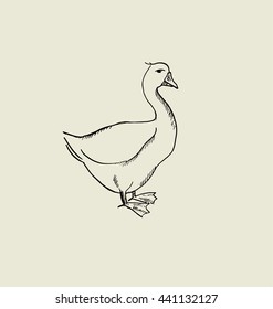 one goose  image. food hand drawn sketch vector illustration.