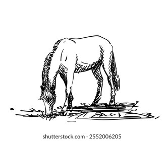 Um cavalo de pastoreio, ilustração desenhada à mão de grama comedora de cavalo, esboço vetorial