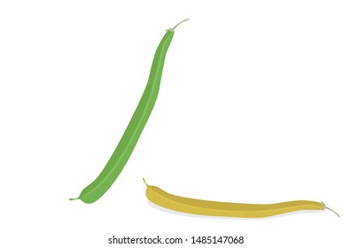 One Green Bean and one Yellow bean vector illustration
