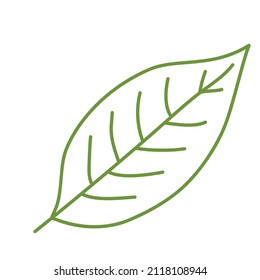 Una hoja verde al estilo doodle. Ilustración del vector aislada en un fondo blanco