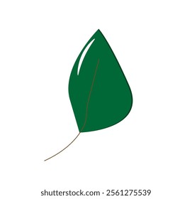 one green leaf with a glare on a white background,