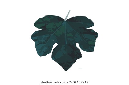 One green leaf located in forest area vector, illustration art isolated on white background