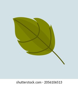 One green leaf vector design