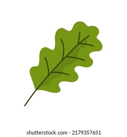 One green oak leaf. Oak tree. Botany and garden. Nature and plants. Flat vector illustration isolated on white background