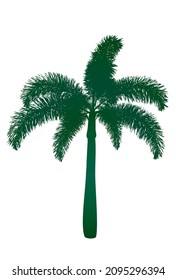 one green palm tree with white background