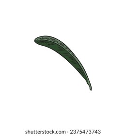 One green sketch style leaf, hand drawn vector illustration isolated on white background. Detailed ink botanical element, narrow and thin cartoon leaf. Vintage plant in engraving style, part of tree.