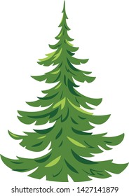One green young spruce tree illustration in a simple colors, young conifer plant in side view isolated