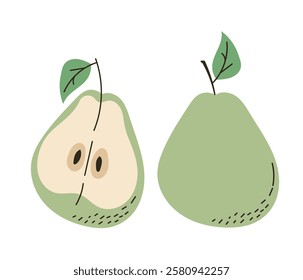 One and half cartoon green pear. Vector illustration of pear, isolated on white background.