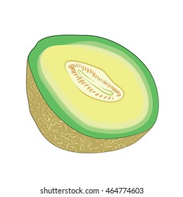 One Half of Green Juicy Melon 