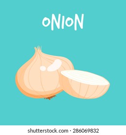 one and a half piece of fresh onion vector illustration
