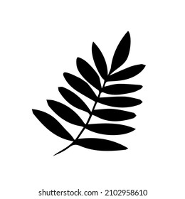 One hand drawn floral element. black vector plant element for design. Doodle isolated on white