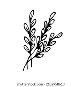 Ein handgezeichnetes Blumenelement. schwarzes Vektorpflanzenelement für Design. Doodle einzeln auf Weiß