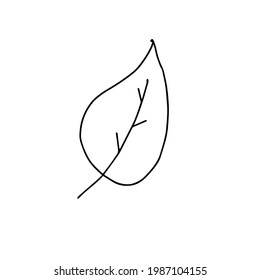 Una hoja dibujada a mano para la decoración de invierno y otoño. Ilustración del vector Doodle. Para el diseño de tarjetas, carteles, textiles. Aislado sobre fondo blanco