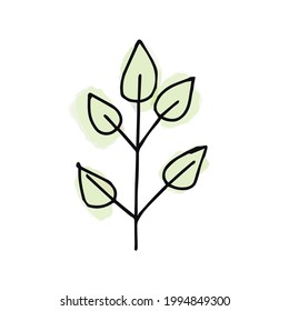 One hand drawn leaf for winter and autumn decoration. Doodle vector illustration. For the design of cards, posters, textiles. Isolated on white background