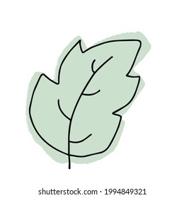 One hand drawn leaf for winter and autumn decoration. Doodle vector illustration. For the design of cards, posters, textiles. Isolated on white background