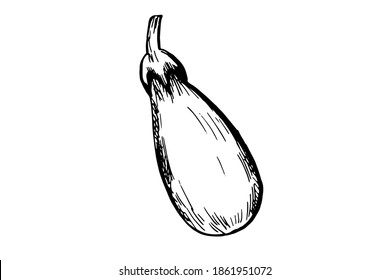 One hand-drawn eggplant design for greeting cards, posters, recipes, cooking design. Isolated on a white background. A drawn vector element. Black and white graphics