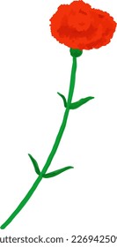 One hand-painted red carnation. The perfect gift for Mother's Day.