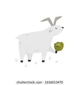 One happy funny goat with a cabbage. Vector illustration of a farm animal
