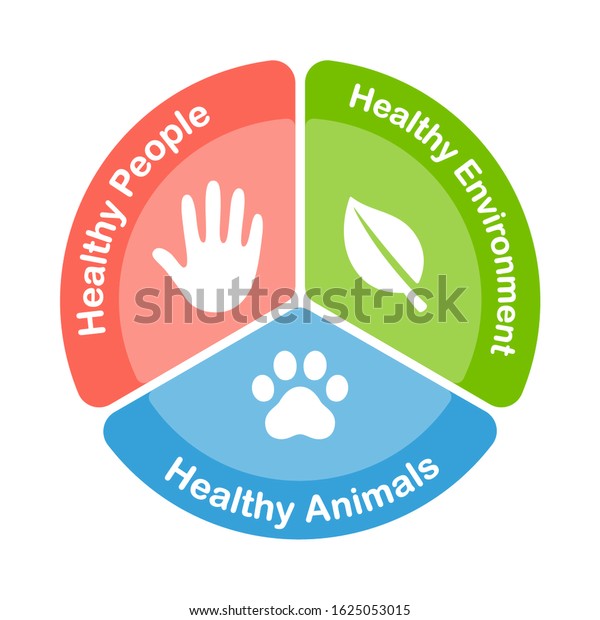 One Health infographic diagram. Three\
sectors with icons of global health areas: healthy people, animals\
and environment. Vector clip art\
illustration.