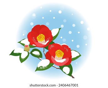 One highlight of camellia blooming in the snow