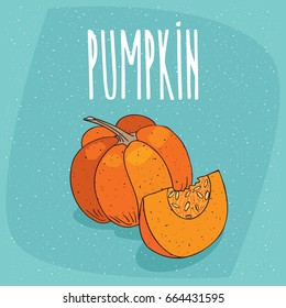 One huge whole ripe squash fruit, near beautifully cut piece. Visible pulp and seeds. Isolated blue background. Realistic hand draw style. Lettering inscription Pumpkin. Vector illustration
