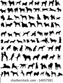 One hundred silhouettes of different breeds of dogs