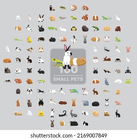 One Hundred Small Pets Cartoon Vector Illustration Set