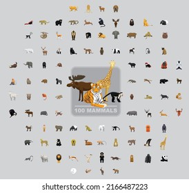 One Hundred Wild Mammals Cartoon Vector Illustration Set