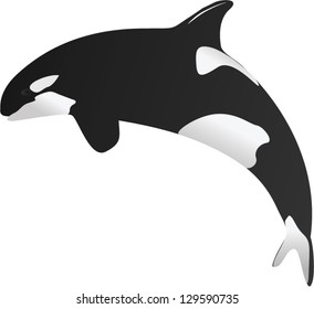 Whale Teeth Stock Vectors, Images & Vector Art | Shutterstock