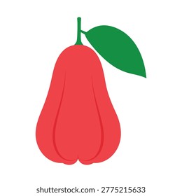 One isolated tropical water apple featuring smooth red skin and single leaf ideal for healthy recipes organic produce marketing or educational culinary visuals.