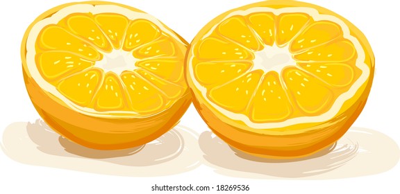 One juicy Florida orange sliced in half. Fully editable vector illustration.