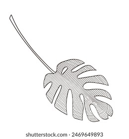 one large monstera leaf outline illustration 