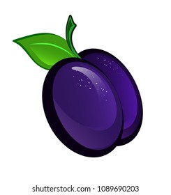 One large ripe plum with a small leaf on a white background. Vector illustration with plum