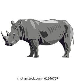 One of the largest land animals of white rhinos in Africa