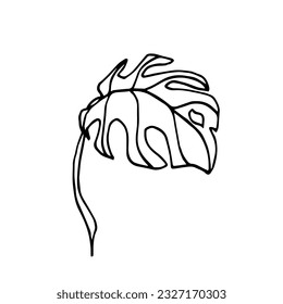 Una hoja única con un tallo de monstera deliciosa. Planta interior aislada en un fondo blanco. Arte de línea, dibujado a mano, ilustración de doodle. vista lateral
