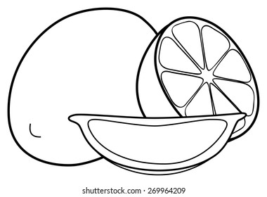 One lemon, one half and one slice of lemon on white background in the Delightful garden collection