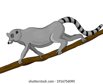 One lemur climbs a tree branch. Simple style flat cartoon vector illustration. Cute african walking animal isolated on a white background.